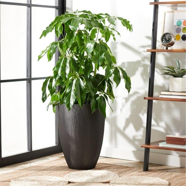 Safavieh Colson Gray Planter PAT1524A